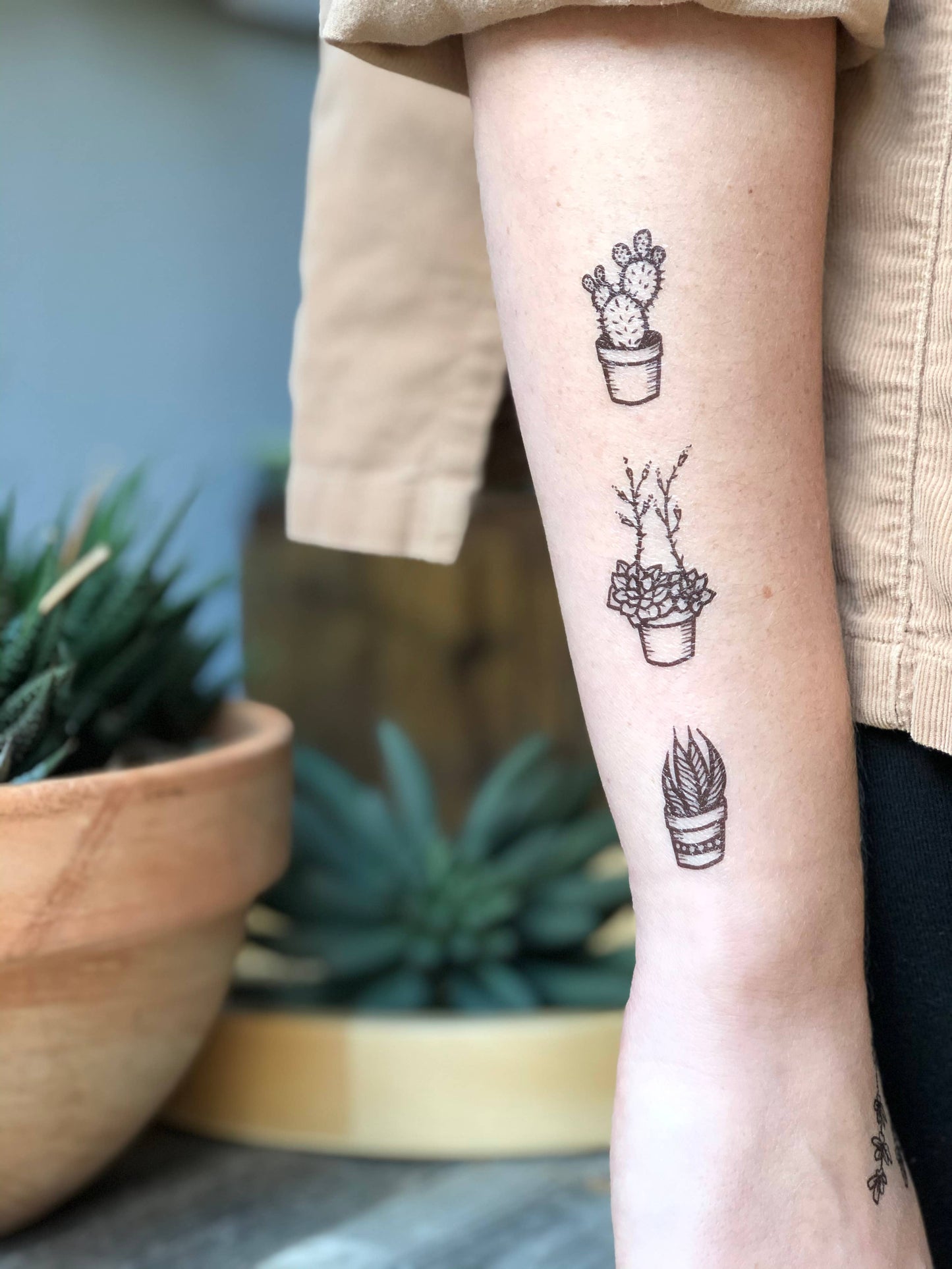 Potted Cactus Temporary Tattoo: 1-Pack
