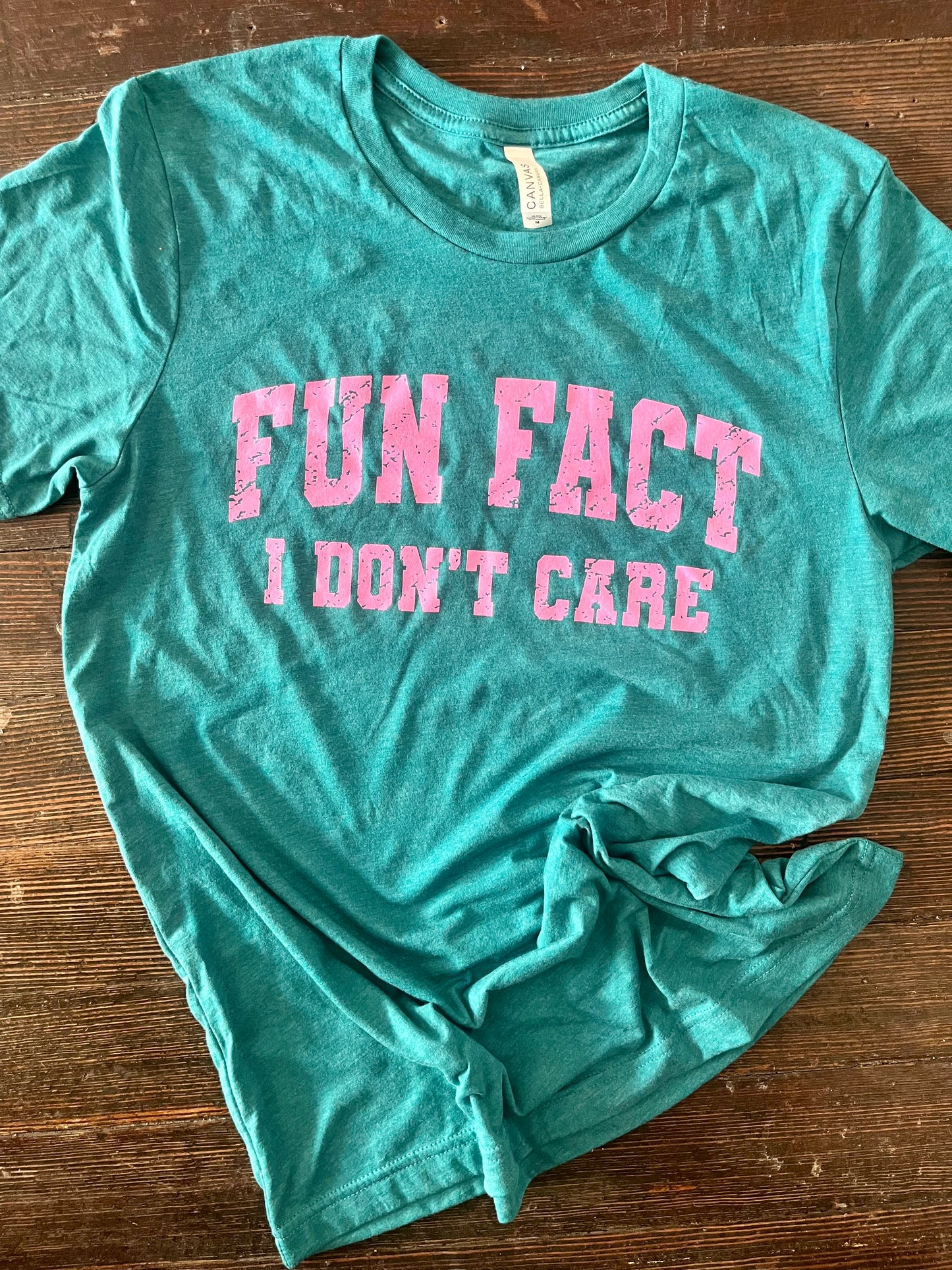"Fun Fact" Graphic
