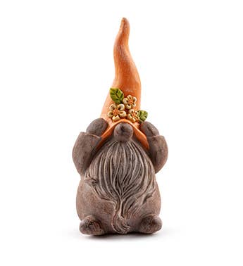 Gnomes