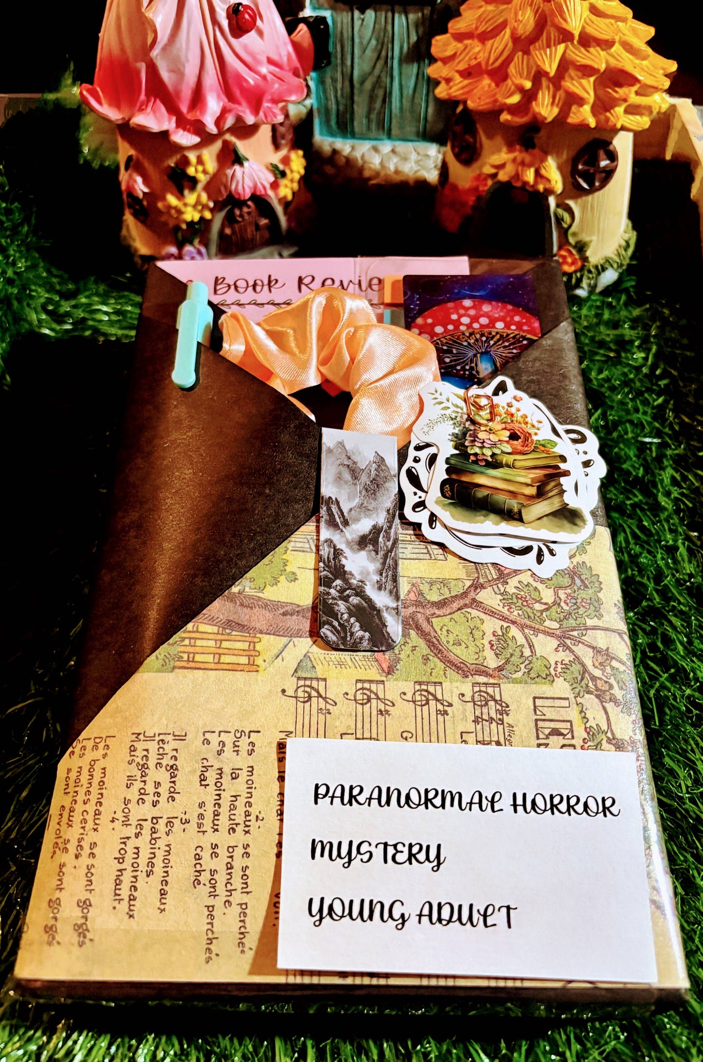 Blind Date With a Book: Cook Book