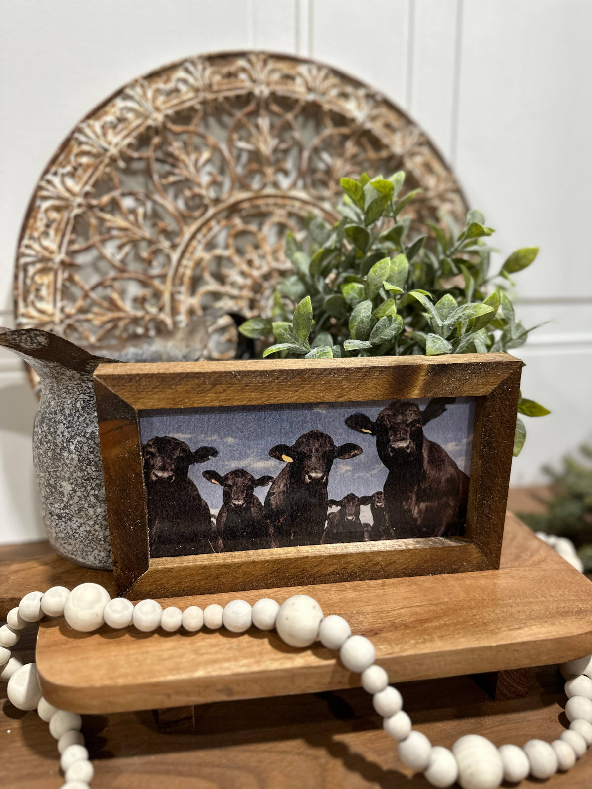 Black Angus cow print