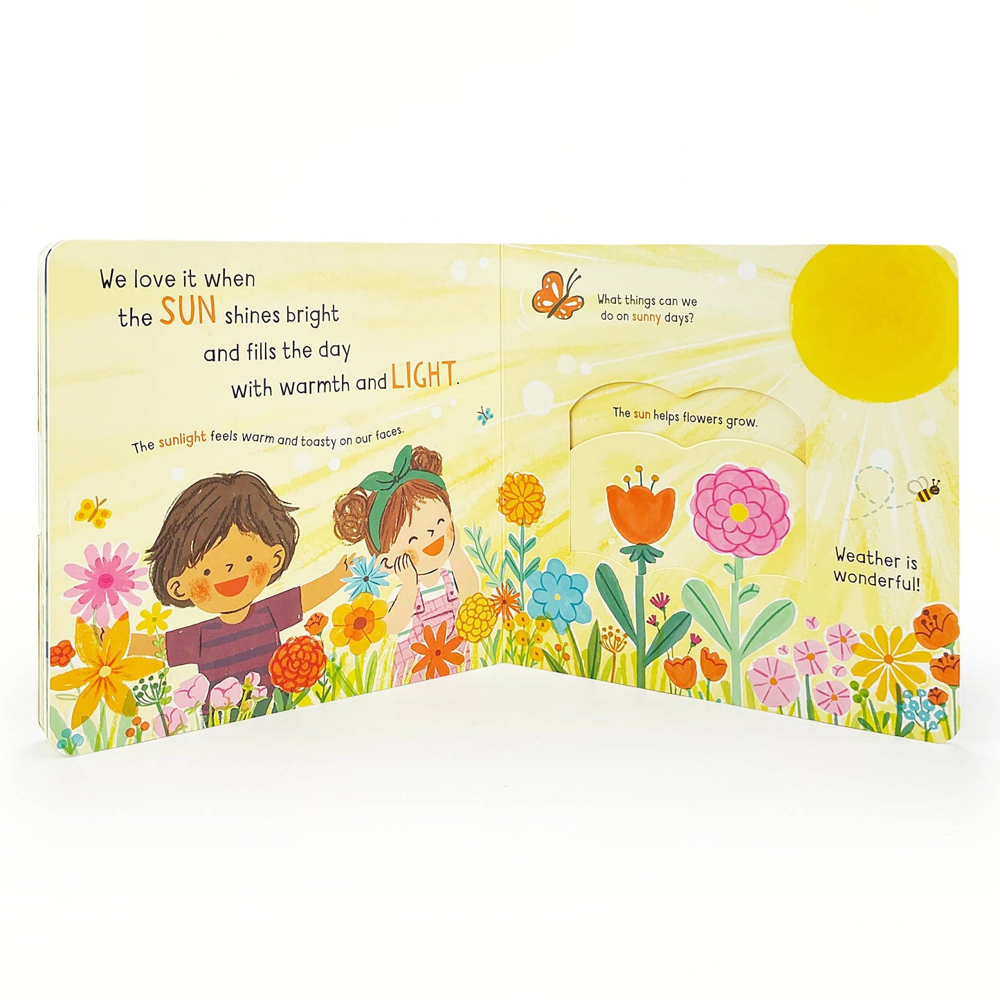 Little Wonders: Weather  Interactive Board Book