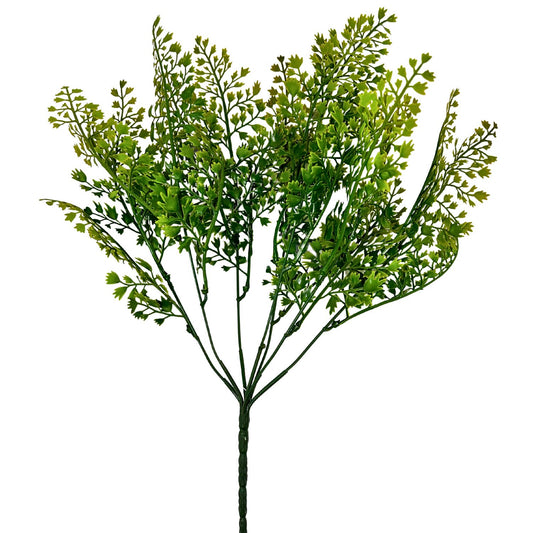Mini Maidenhair Fern Bush - Yellow/Green 16"