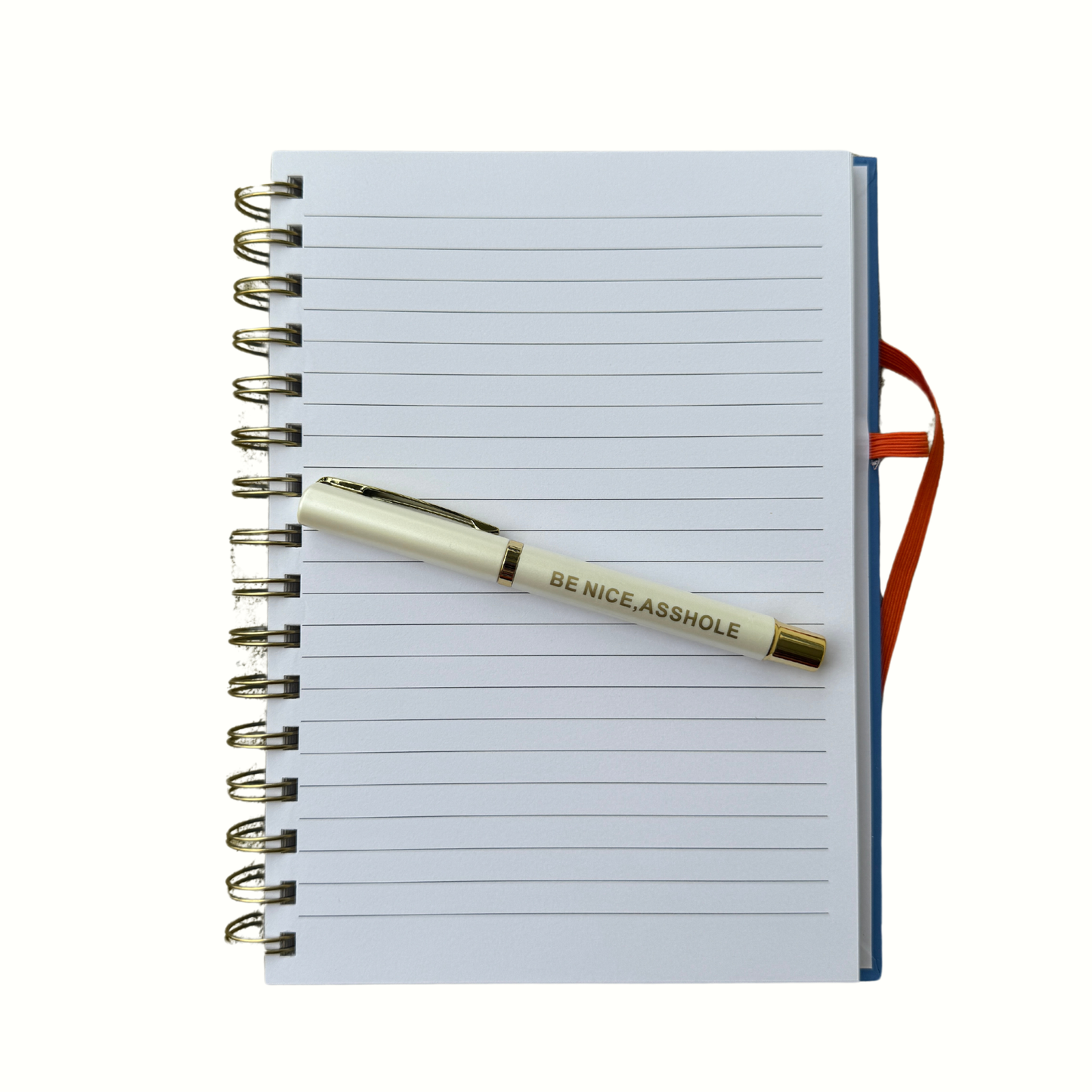 Don't Be A Dick Journal (funny, gifts, journals, notebook)