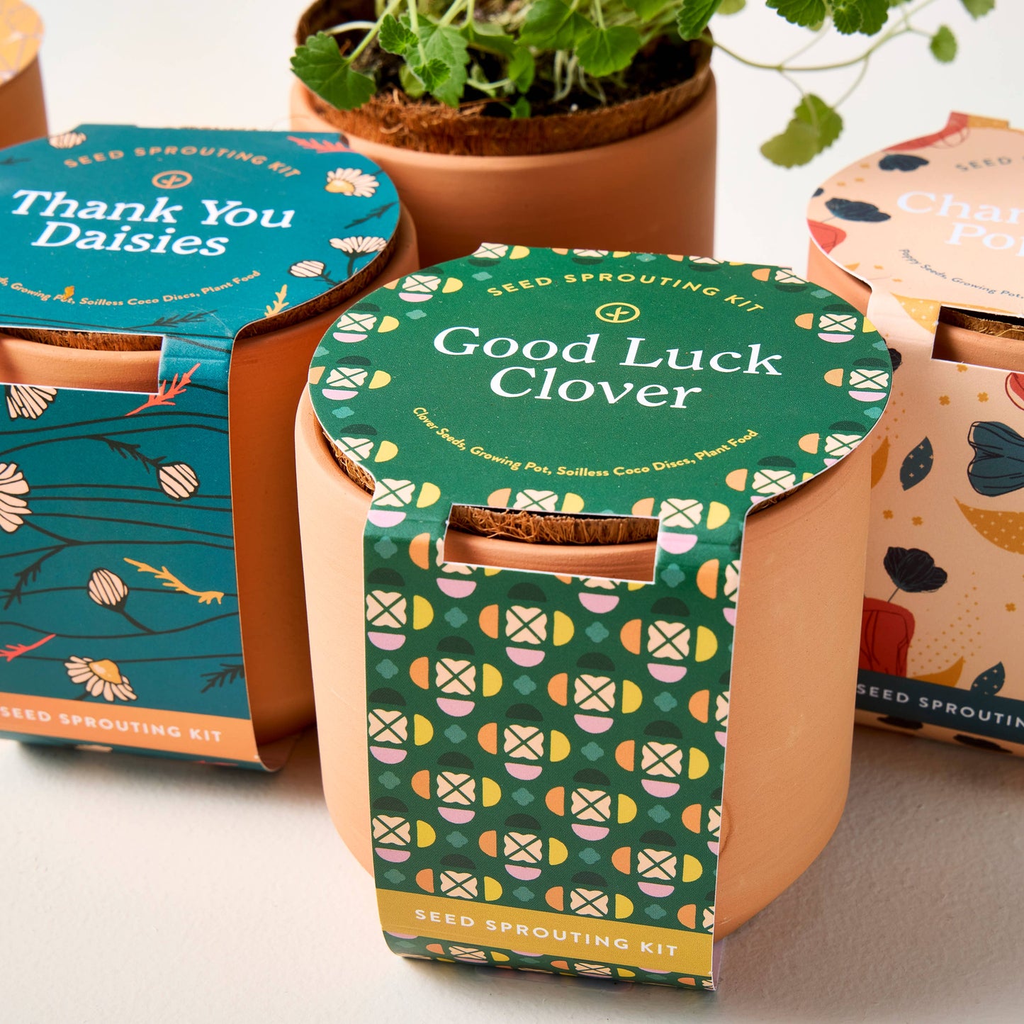 Tiny Terracotta Grow Kits: Live Well Lavender