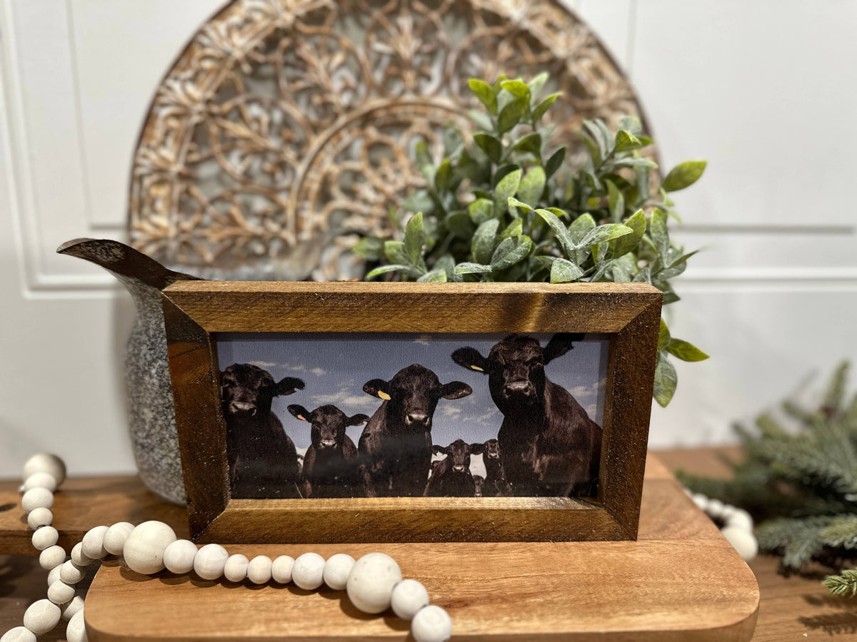 Black Angus cow print