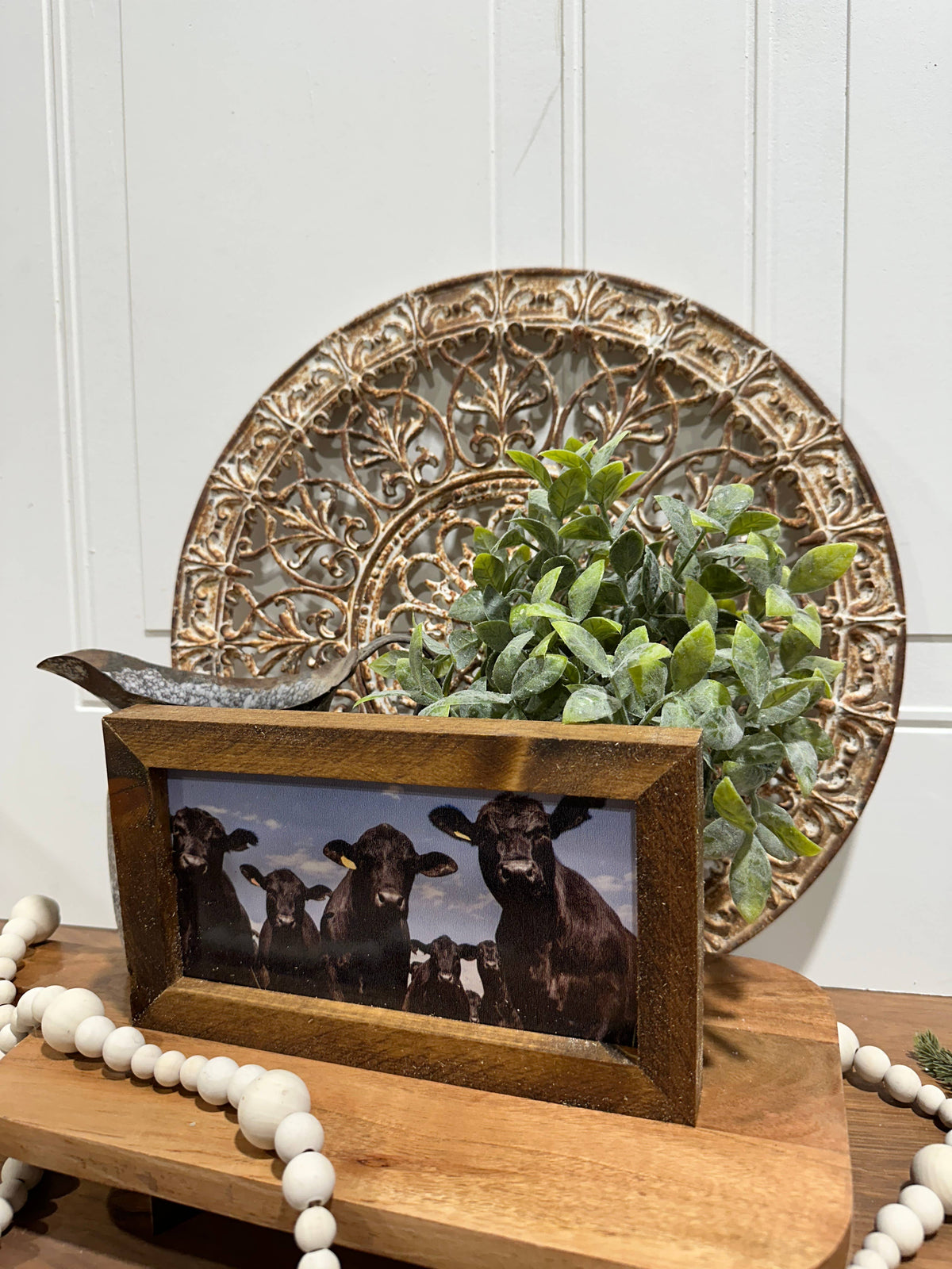Black Angus cow print