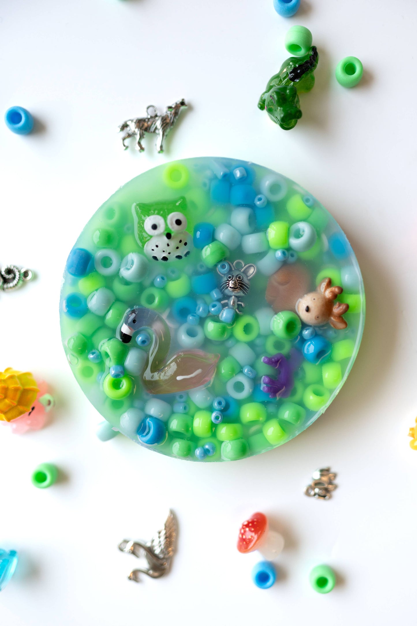 Animal Kingdom, Picking Pad, Fidget Toy