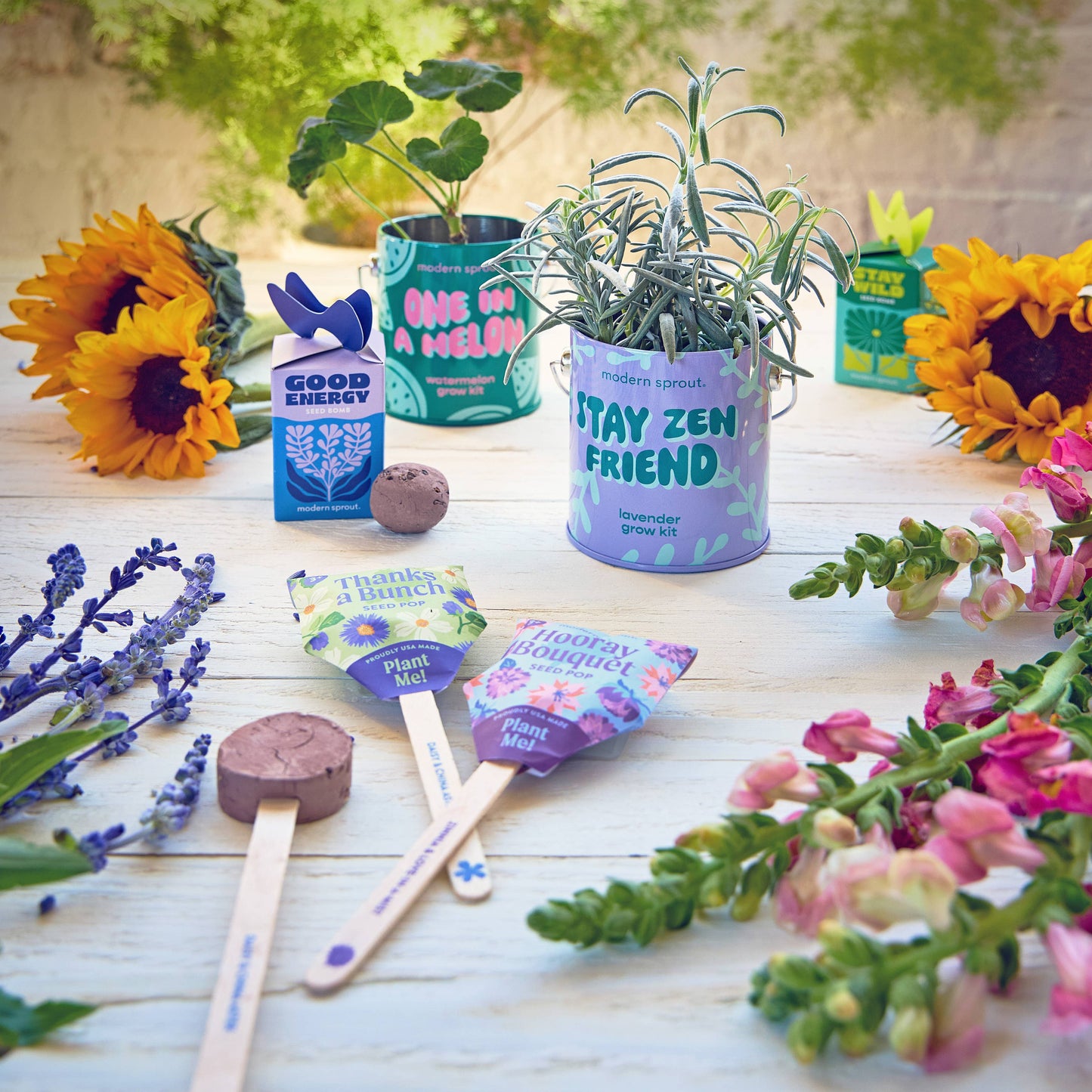 Seed Bomb Refresh (Singles): Stay Wild