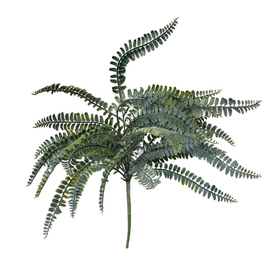 Garden Fern Bush 18”