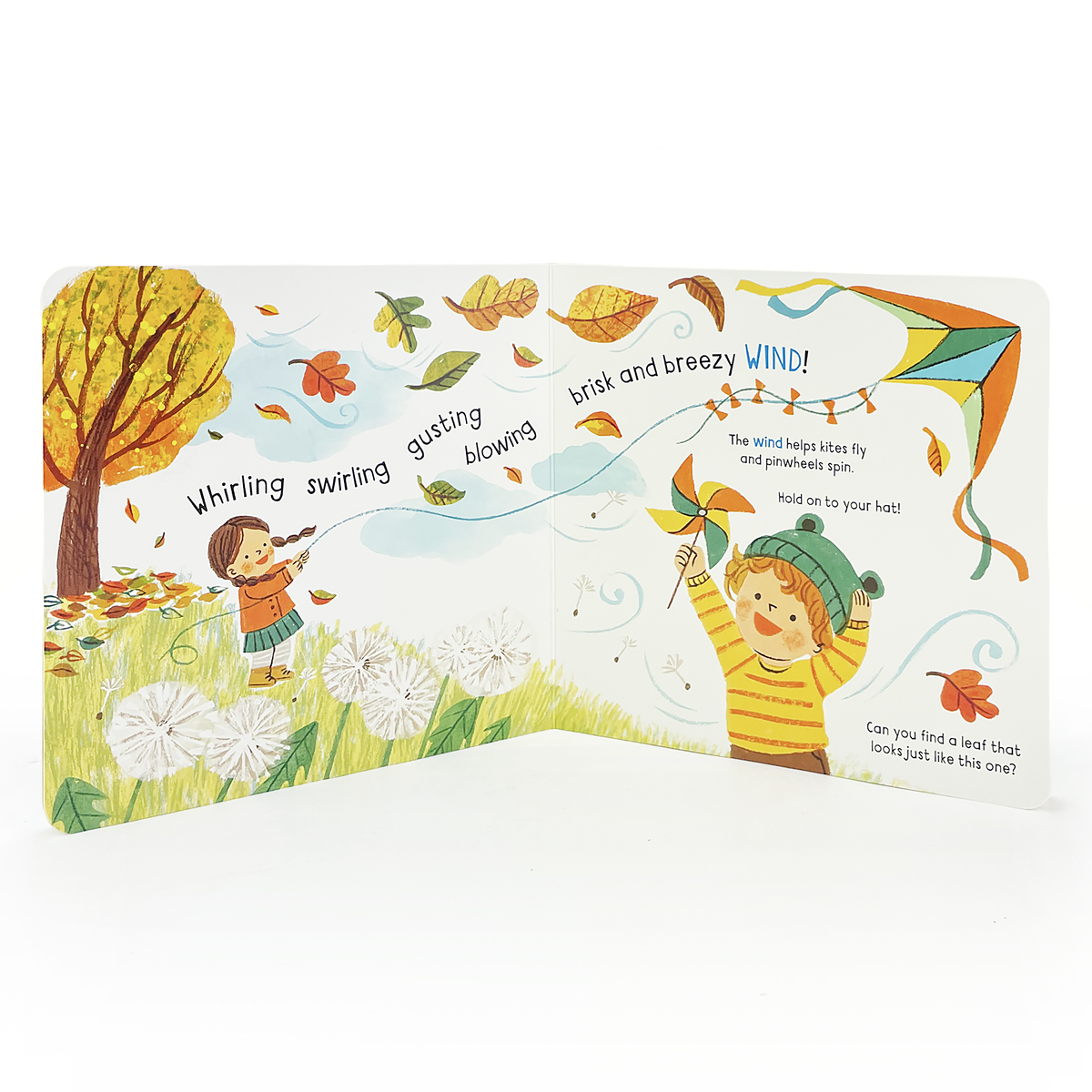 Little Wonders: Weather  Interactive Board Book