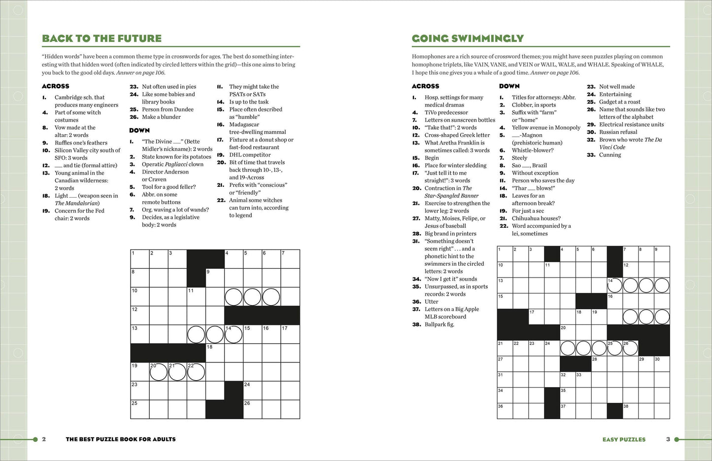 Best Puzzle Book for Adults