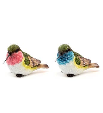 Hummingbirds
