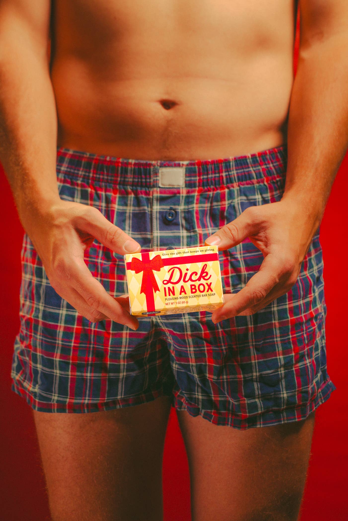 Dick in a Box Holiday Triple-Milled Boxed Soap | Christmas
