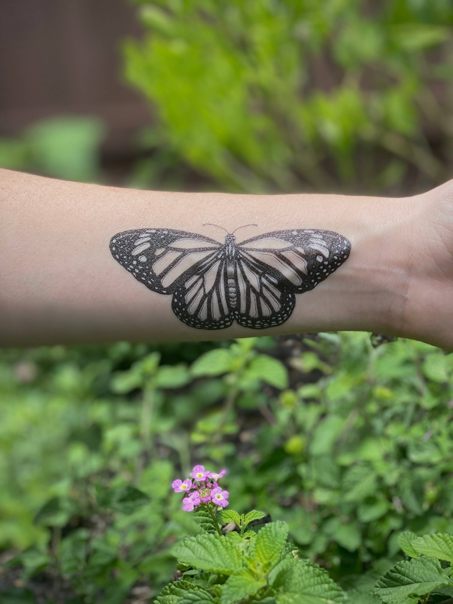 Monarch Butterfly Temporary Tattoo: 1-Pack