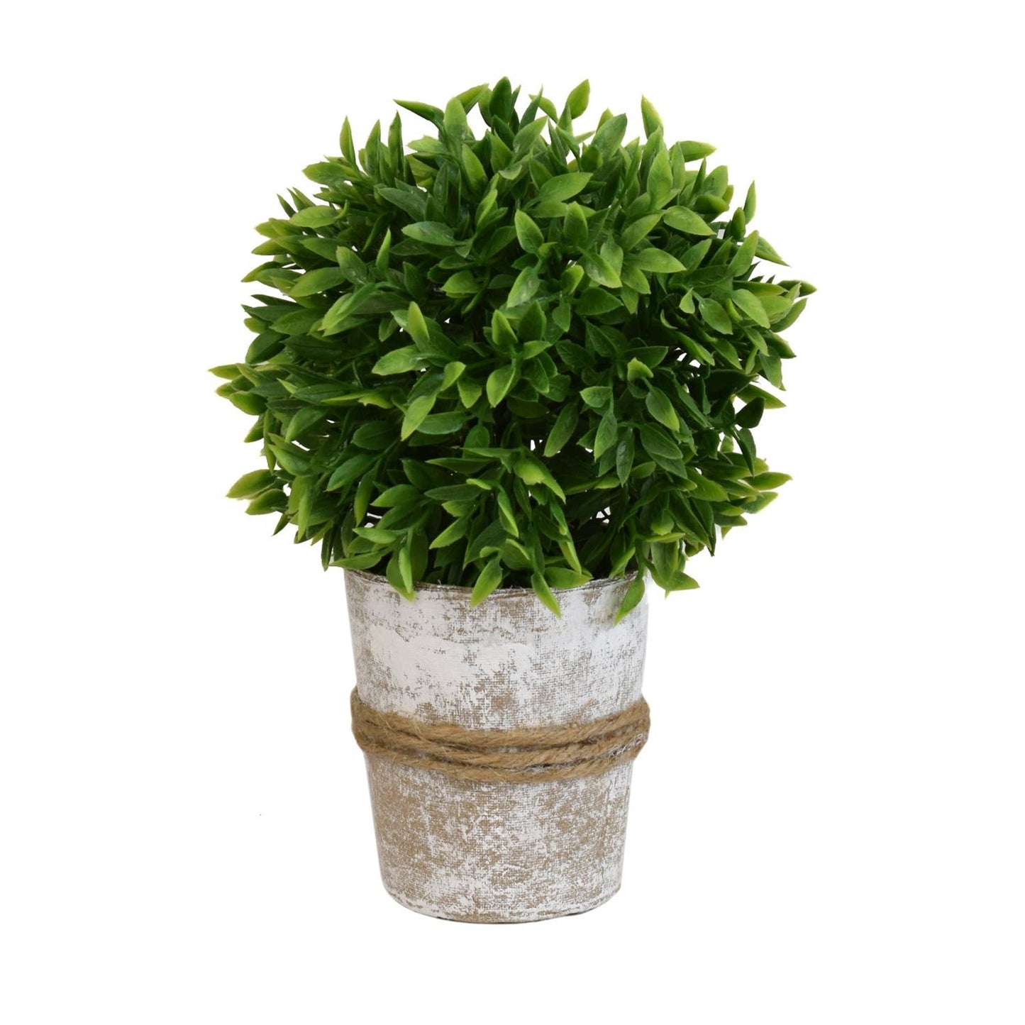 8.5” Thyme Ball Topiary in Handcrafted Pot (6/12)